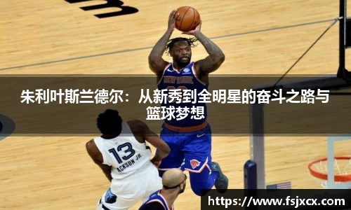 朱利叶斯兰德尔：从新秀到全明星的奋斗之路与篮球梦想