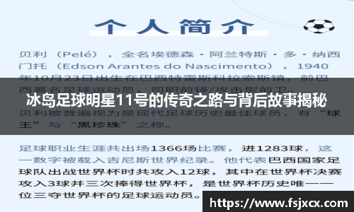 冰岛足球明星11号的传奇之路与背后故事揭秘